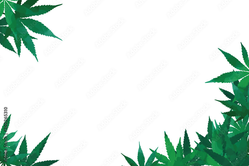 Cannabis green leaves corners. Elements for design on white background 