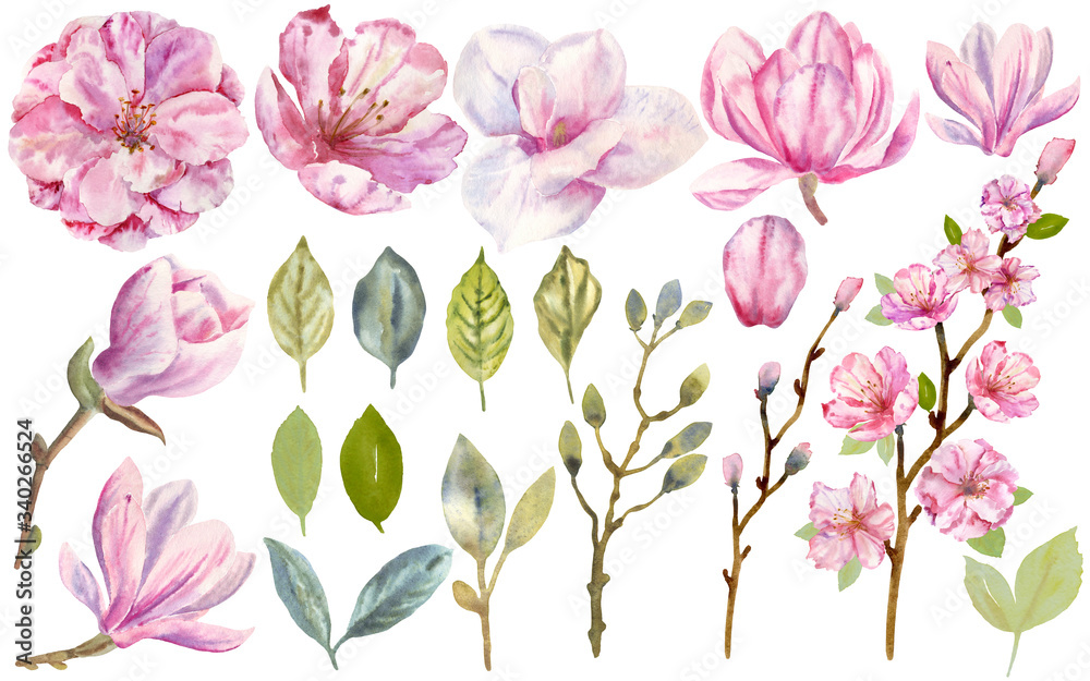 Hand drawn watercolor set of blooming magnolia and green leaves. Perfect for creating cards, invitations, wedding design.