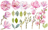 Hand drawn watercolor set of blooming magnolia and green leaves. Perfect for creating cards, invitations, wedding design.