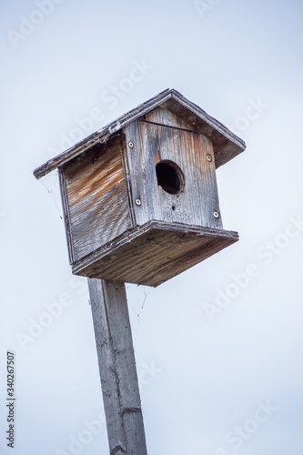 ことりの巣箱 small birdhouse on a hill