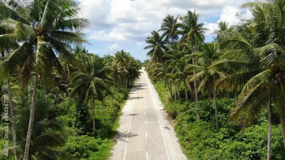 Beautiful, quiet street in the middle of coconut trees in the Philippines. It`s daytime and very windy. Best travel shot, dramatic clouds in the sky. Steady drone shot from above. Beautiful, quiet street in the middle of coconut trees in the Philippines. It`s daytime and very windy. Best travel shot, dramatic clouds in the sky. Steady drone shot from above.