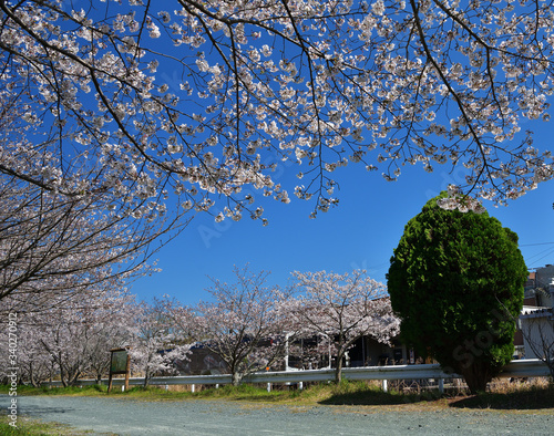 天浜線　都田駅