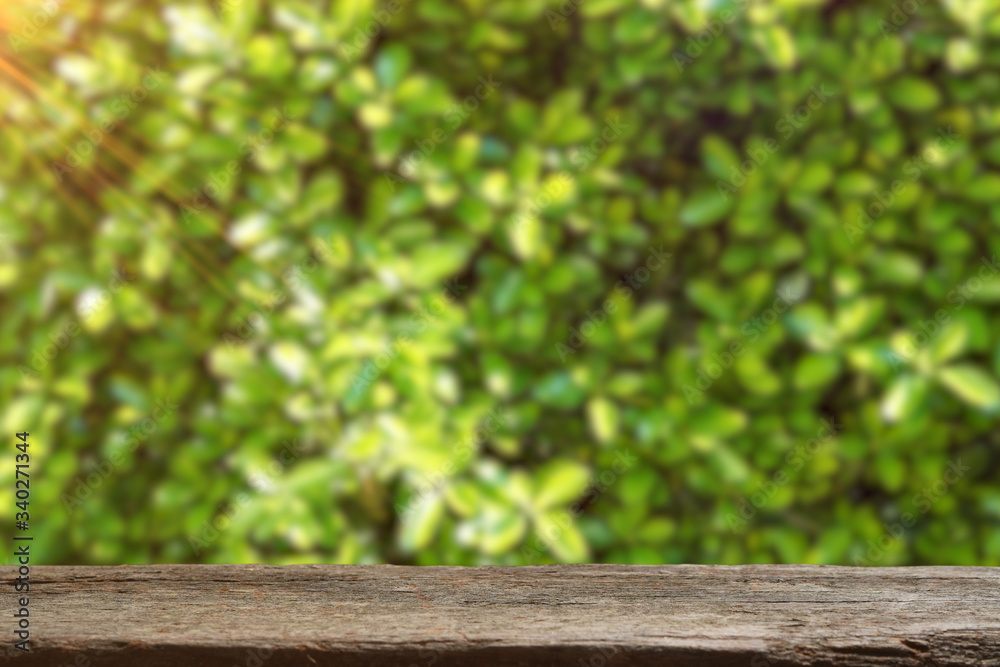 Empty wooden base suitable for mockup. Nature theme. Empty wooden base suitable for mockup. Nature theme.