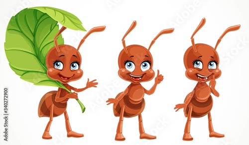 Cute cartoon ants think and tell about something  isolated on a white background