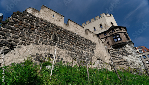 remains of the medieval city wall at the severinstorburg in cologne's old town with a small vineyard photo