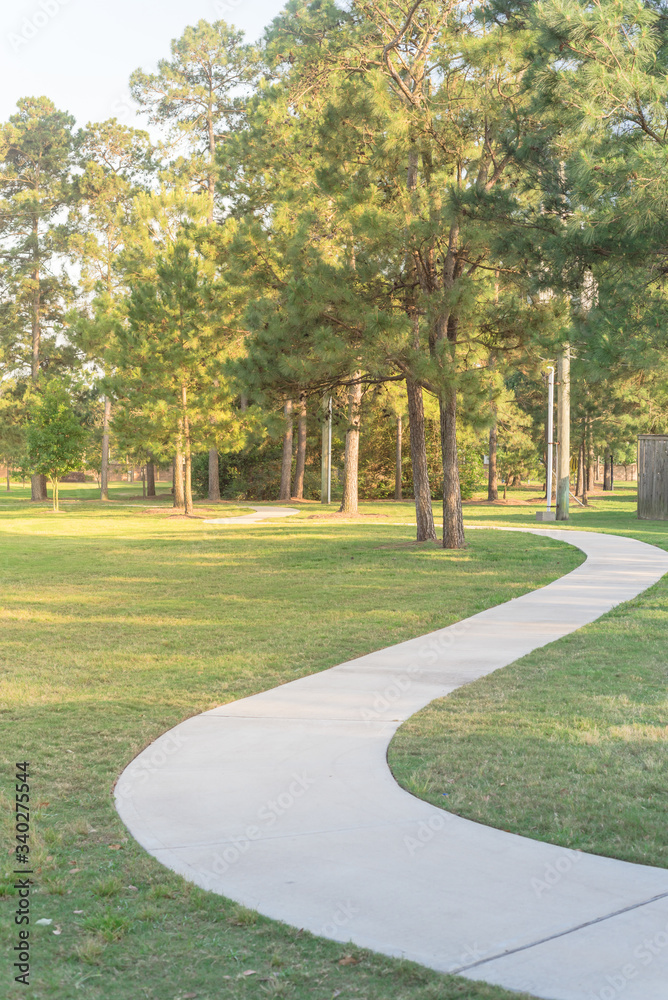 Concrete winding concrete pathway and tall trees at green suburban park in Houston, Texas, USA