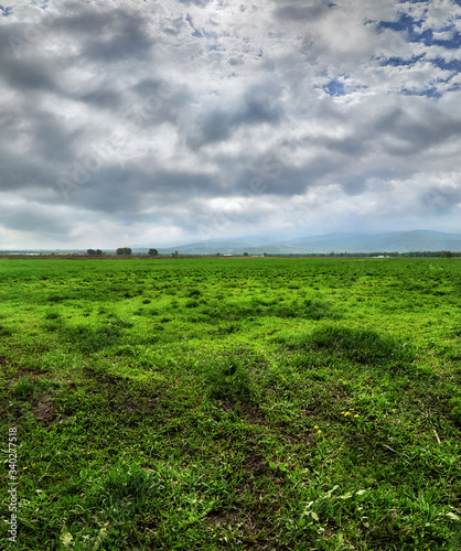 Landscape with cloudy sky and green field