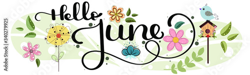 Hello June. JUNE month vector with flowers and leaves. Decoration floral. Illustration month June photo
