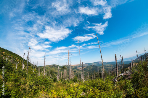 Fototapeta Naklejka Na Ścianę i Meble -  Beskidy, Poland