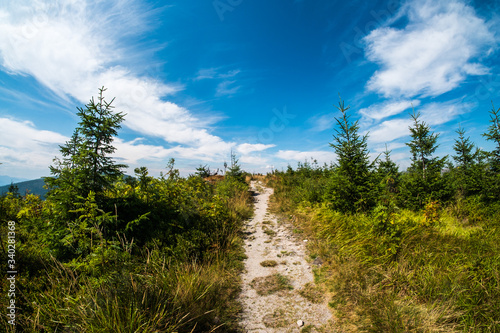 Fototapeta Naklejka Na Ścianę i Meble -  Beskidy, Poland