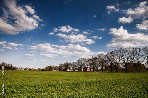 Fields