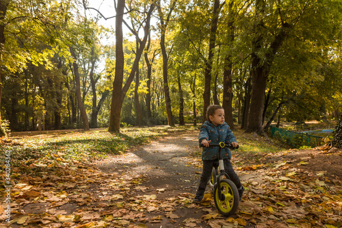 Small child driving bicycle at asphalt road in fall season.