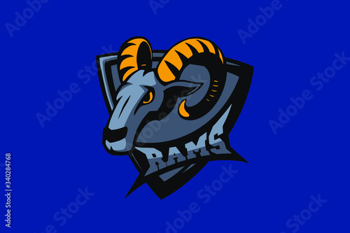 Hand drawn sport team mascot logo design. T-shirt print illustration. Ram.