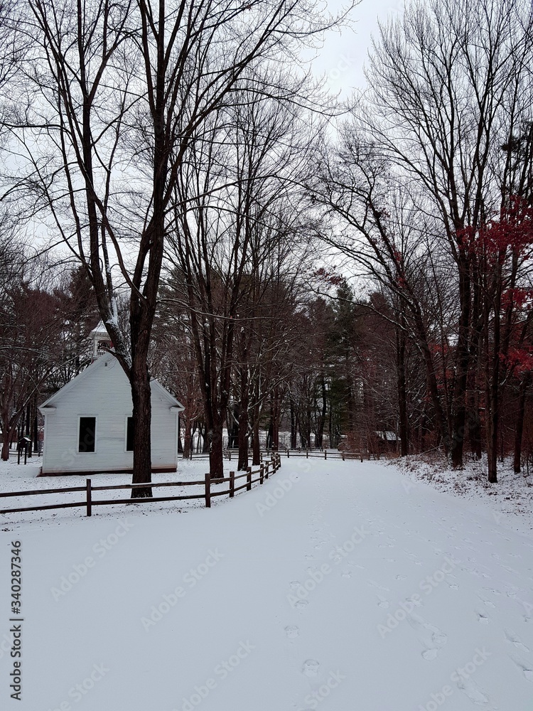 Naklejka premium Winter landscape