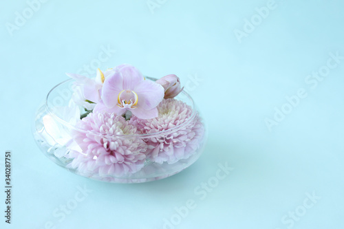 Fototapeta Naklejka Na Ścianę i Meble -  ピンクの胡蝶蘭とピンポンマムの花束