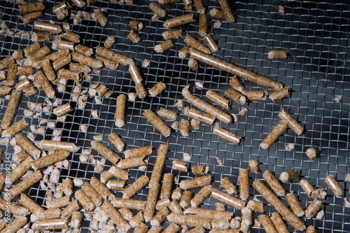 Usine pour la fabrication de granule pour les poeles a bois