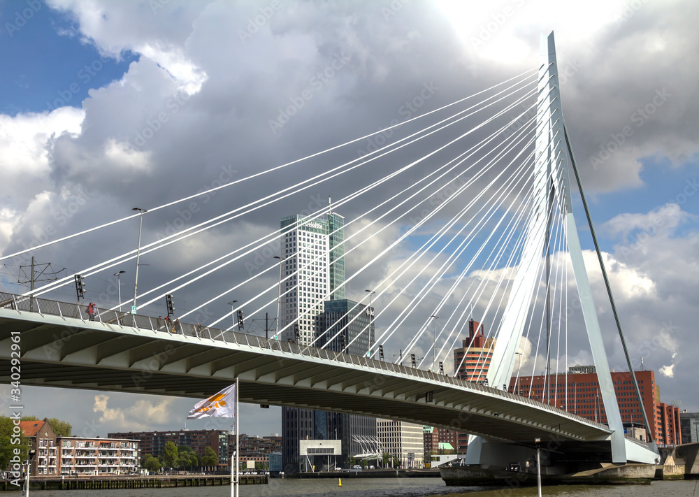 Fototapeta premium ROTTERDAM, NETHERLANDS : Erasmus bridge over the rive Maas in , the Netherlands