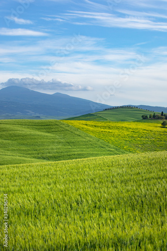 Tuscany spring  rolling hills on spring . Rural landscape. Green fields and farmlands. Italy  Europe