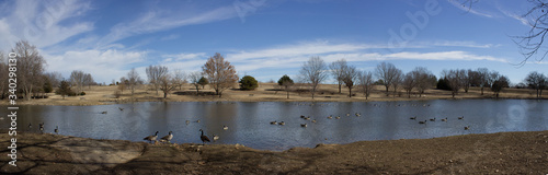 Foto duck pond panorama