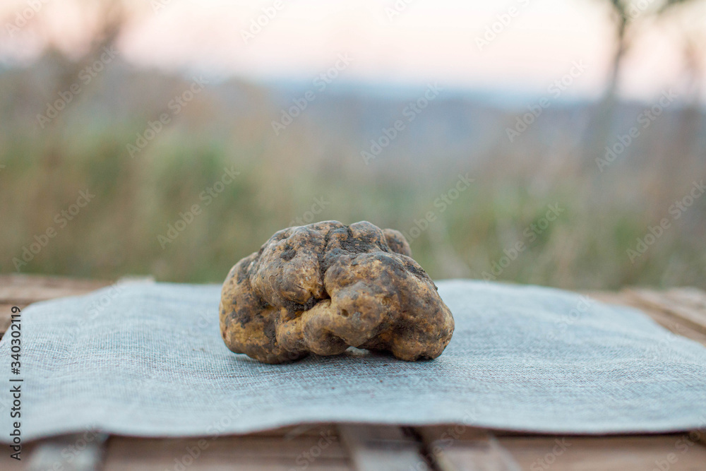 Tartufo Bianco Tartufo Bianco