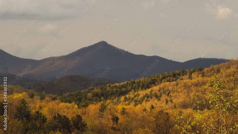 mountain landscape in autumn
