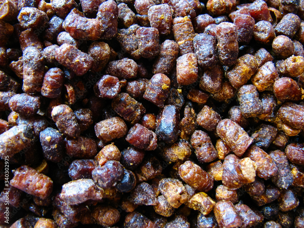 large amount of beebread , background large amount of beebread , background