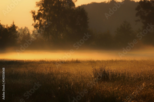 Gssamer and fog at autumn sunrise © Piotr