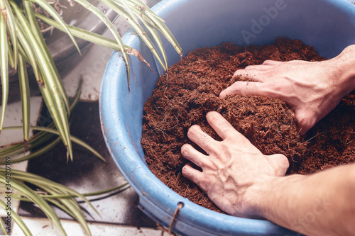 close up male hands mixing Coconut coir with Soil in blue bucket