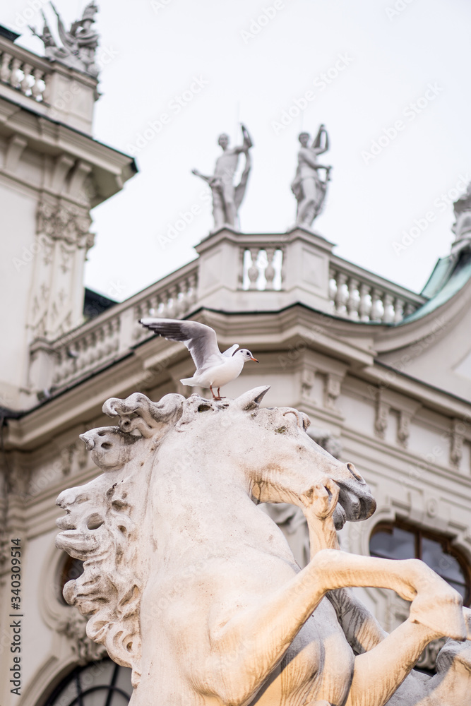 statue of horse and the seagull in wienne austria 