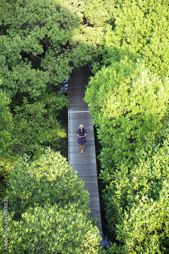 High angle view of a woman on a wooden bridge at Mangrove Forest, Rayong, Thailand