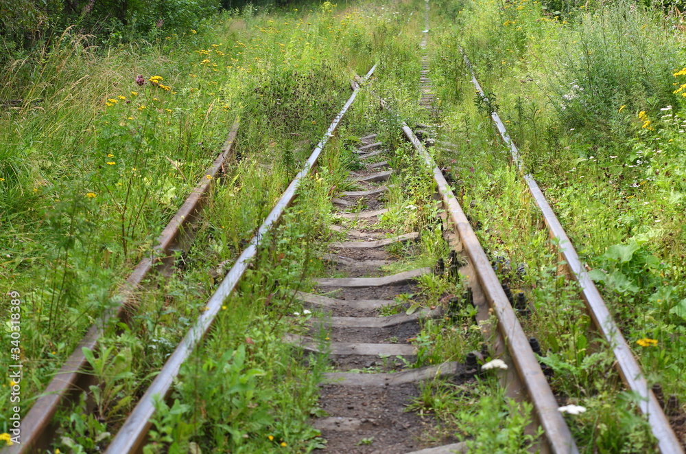 Overgrown with thick green grass old railway Overgrown with thick green grass old railway