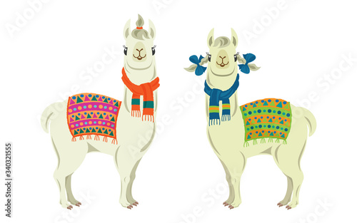 Vector illustration of two cute llamas under rugs and wearing scarves.