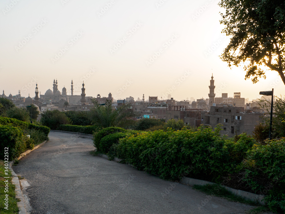 taking a walk in the green lunge of cairo
