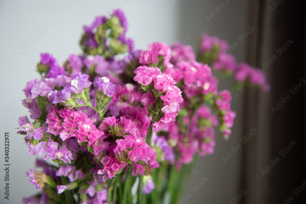 Obraz premium Purple tone flowers