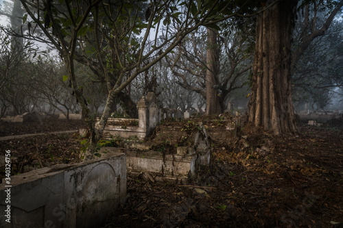 Cementerio asiatico en un bosque