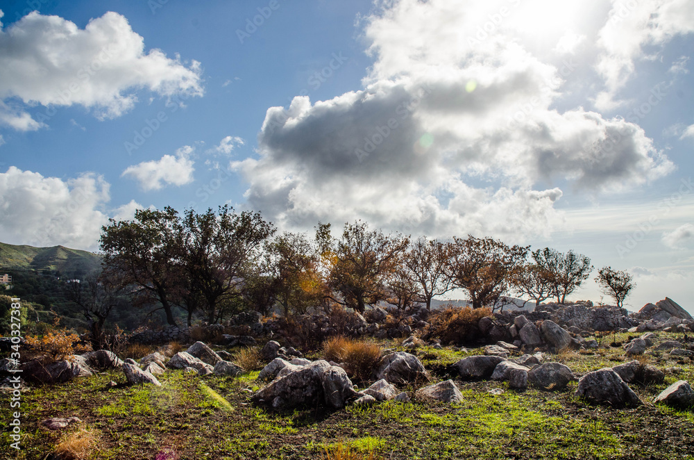 natural reserve of the Aspromonte park in Calabria natural reserve of the Aspromonte park in Calabria