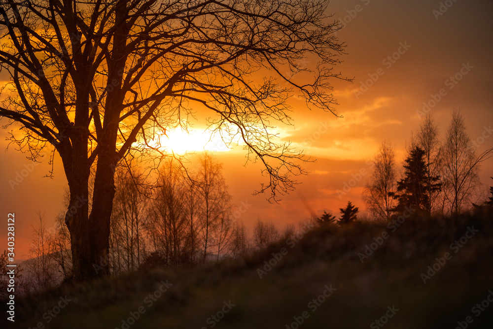 Fototapeta premium Sunnset