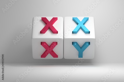 Concept illustration with two cubes and male and female chromosomes XX and XY letters. 3d illustration.