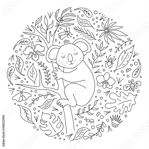 Fototapeta Naklejka Na Ścianę i Meble -  Koala on a eucalyptus tree on a background of tropical foliage. Round frame with hand-drawn decorative elements, leaves, flowers, beetles. Vector illustration in offline style. Coloring page.