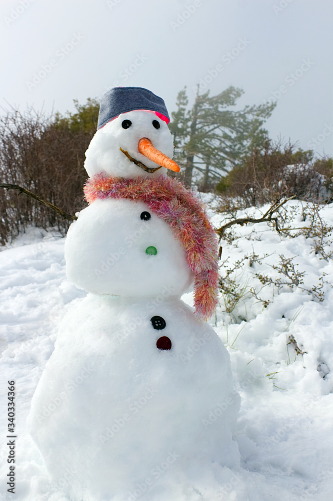 Naklejka premium Snowman in the Mountains