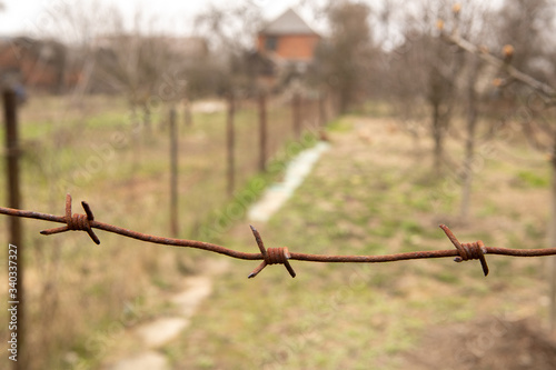 Closeup of a metal barbwire with a rural courtyard on background early in the spring