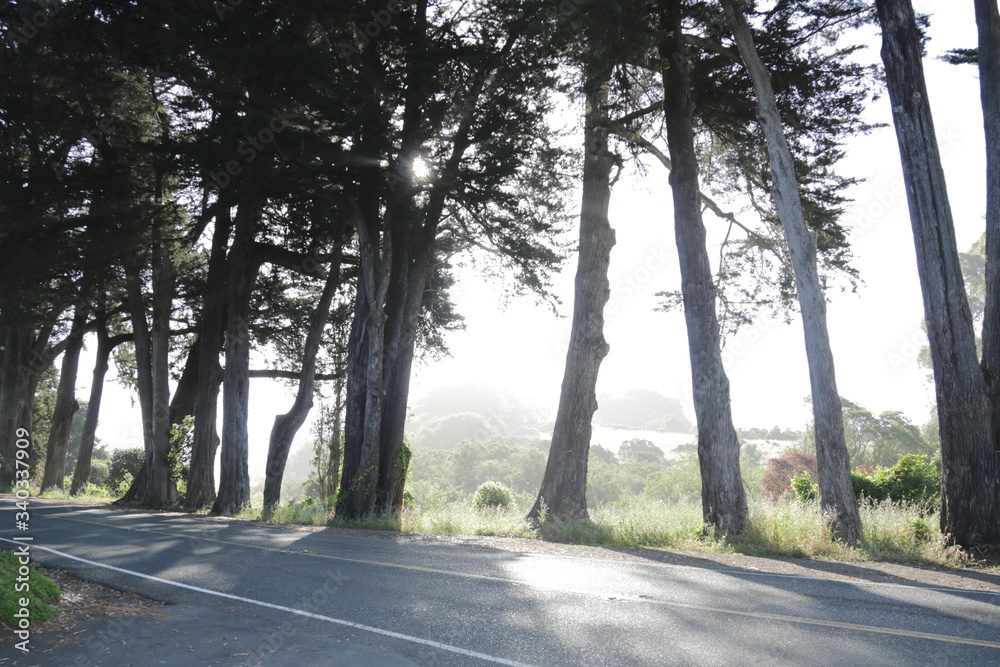 Fototapeta premium morning sun