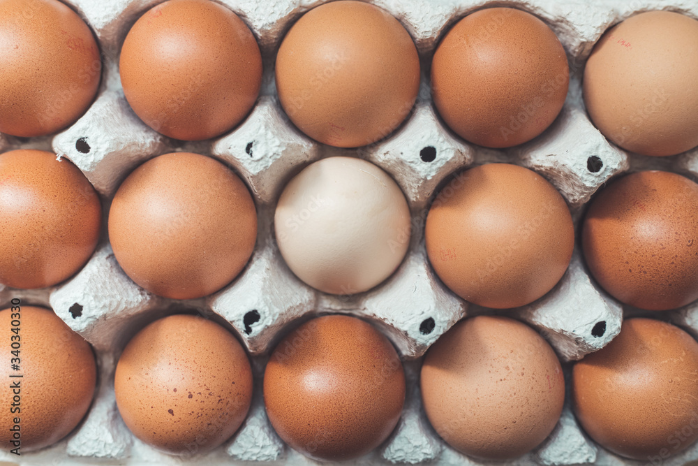 Metaphor for being different or outsider: Brown eggs and one white egg in a basket Metaphor for being different or outsider: Brown eggs and one white egg in a basket