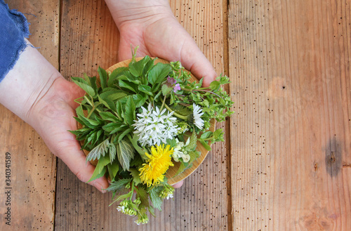 Wildkräuter Salat Wildkräutersalat Hand Hände Tisch Brett Top View Wild Kräuter 