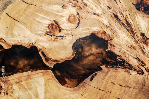 Texture cross section of elm tree. Natural burl wood background. Wood surface. Exotic wooden beautiful pattern. Live elm slab. Woodworking and carpentry production. Furniture manufacture. photo