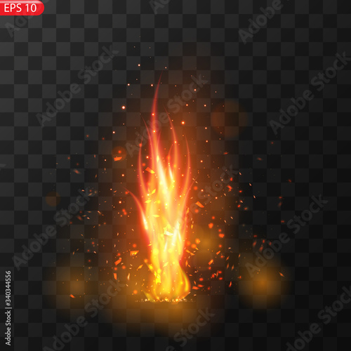 Realistic burning fire flames vector 