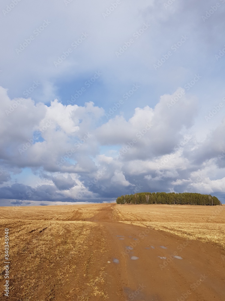 Country dirt road in the field Country dirt road in the field