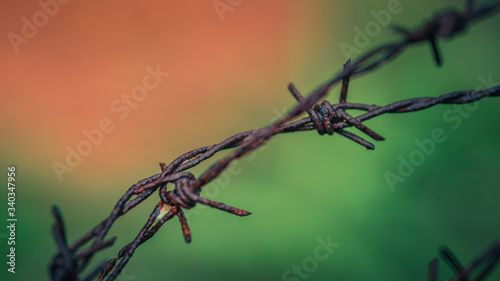 Barbed Wire Fence