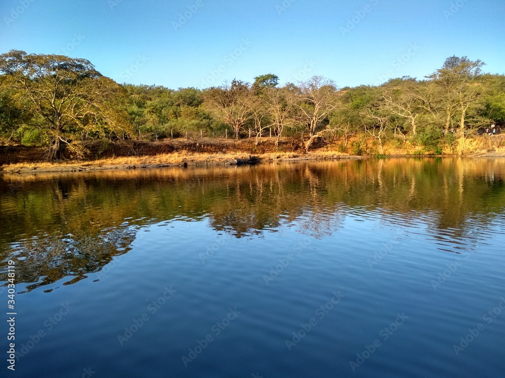 Lake in the forest Lake in the forest