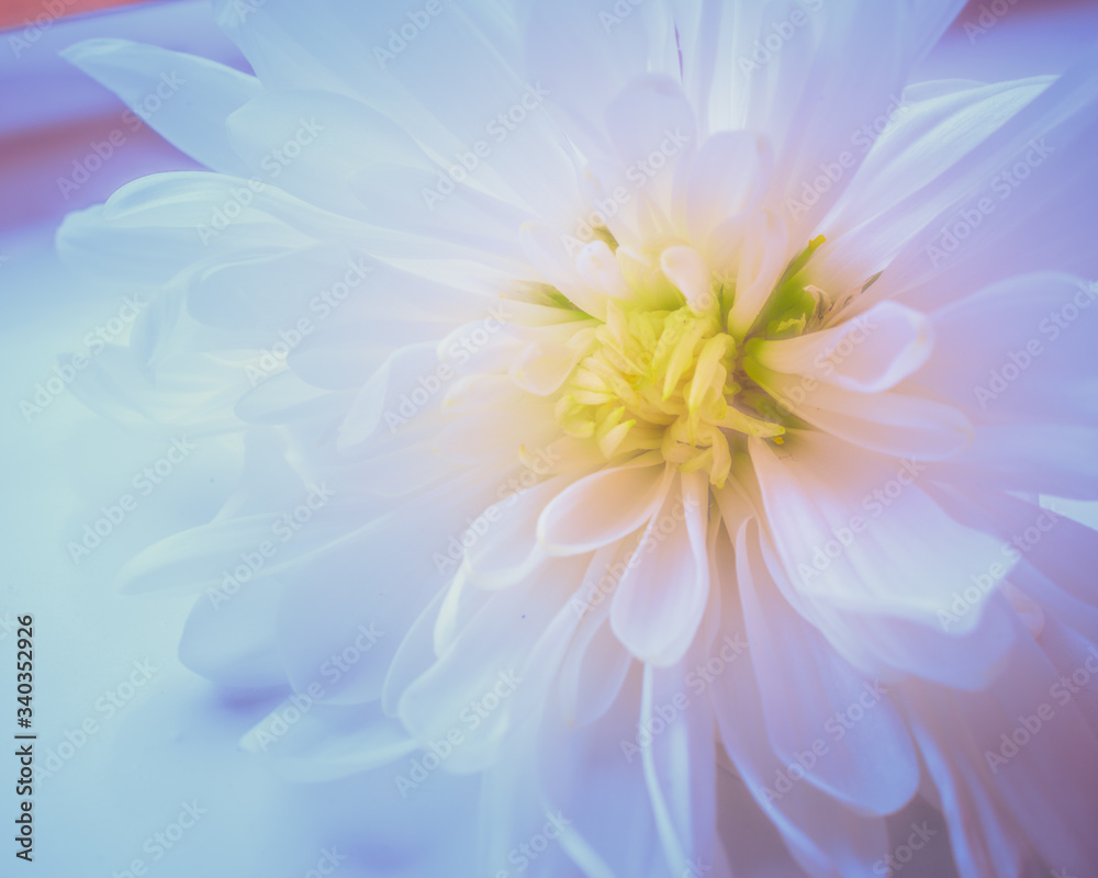 Obraz premium abstract background with yellow flowers